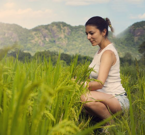 gh-Growth Food And Agriculture Startup Competition Accepting Entries - Lioness Magazine