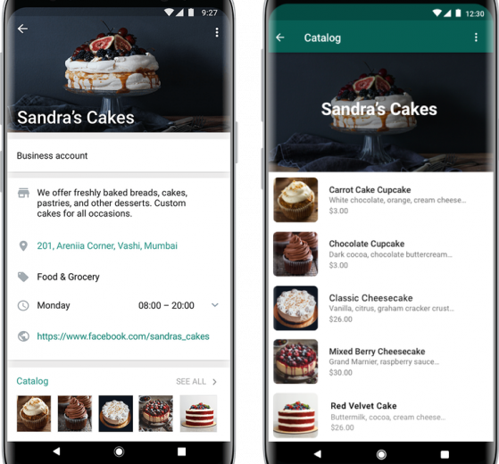 Facebook Launches Mobile Storefront In WhatsApp Business - Lioness Magazine