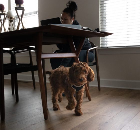 The picture shows a woman working at home, with her dog, in casual attire.
