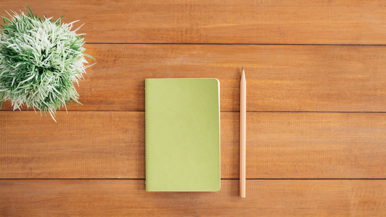 A photo of a journal, pen, and plant on a wooden table.