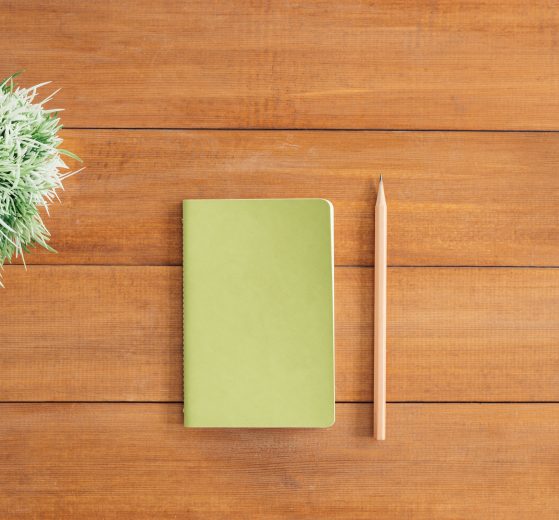 A photo of a journal, pen, and plant on a wooden table.