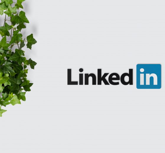 LinkedIn company logo