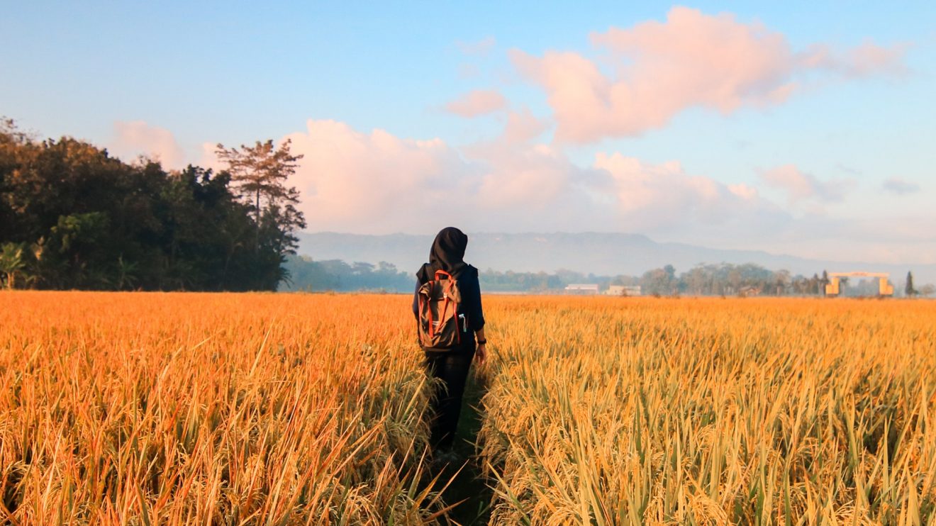 A photo of a woman standing in a field, representing mindfulness and mental health