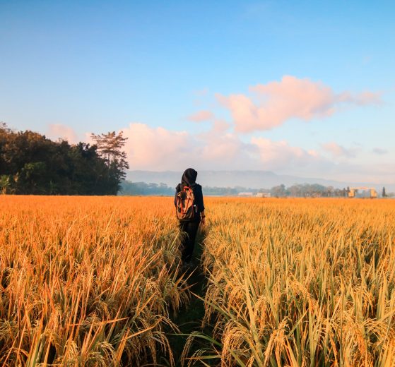 A photo of a woman standing in a field, representing mindfulness and mental health
