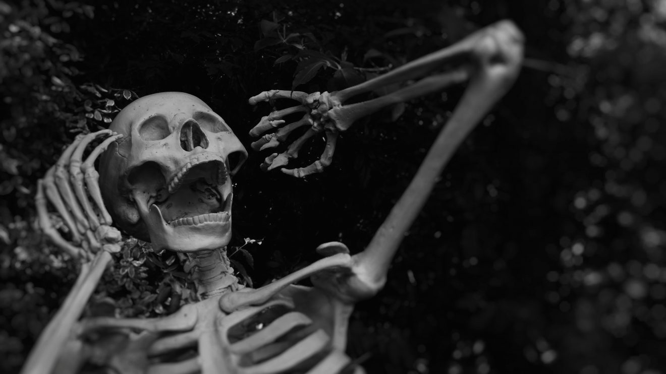 A shocked-looking skeleton, representing the conversation on dead blogging