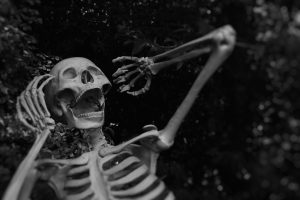 A shocked-looking skeleton, representing the conversation on dead blogging