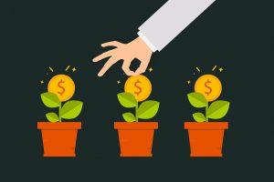 Money from a plant after growing a startup