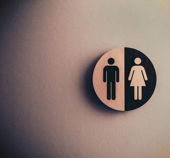 Male and female signage, representing the gender gap