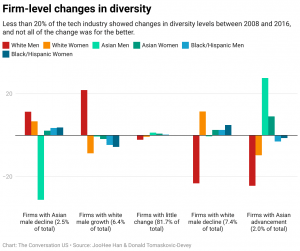 firm level changes in diversity