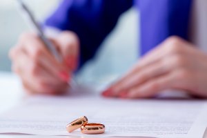 prenuptial partnership