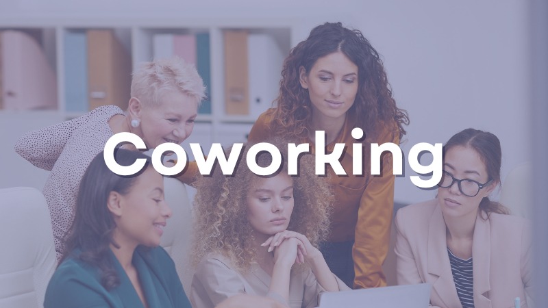 Lioness Coworking