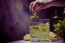 Top Rated Gin