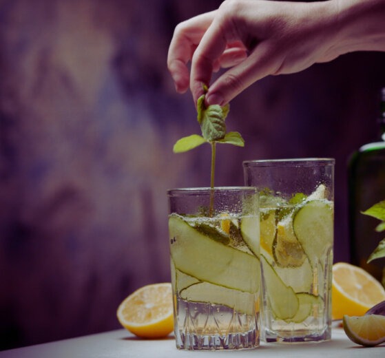 Top Rated Gin