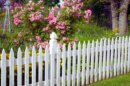White Picket Fence