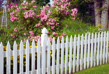 White Picket Fence