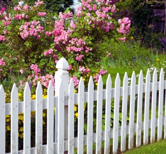 White Picket Fence