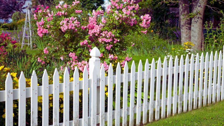 White Picket Fence