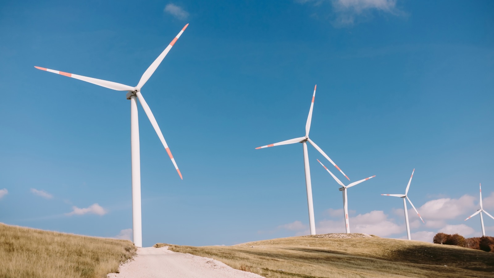 Cleantech Residency