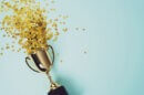 globee awards
